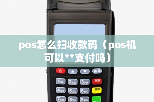 pos怎么掃收款碼（pos機(jī)可以**支付嗎）
